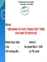 TIỀM NĂNG VÀ THỰC TRẠNG PHÁT TRIỂN KHU KINH TẾ NHƠN HỘI