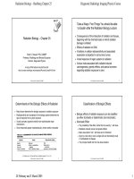 Cơ chế sinh học  Vòng đời của hạt bức xạ (Radiation biology)