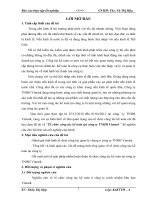 Báo cáo thực tập tốt nghiệp chuyên ngành tổ chức công tác kế toán