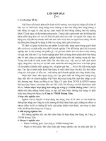 Hoàn thiện hoạt động bán hàng tại Công ty TNHH Hoàng Tâm