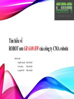 silde robot sơn GW 6100