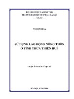 Sử dụng lao động nông thôn  ở tỉnh Thừa Thiên Huế