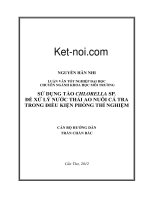 Sử dụng tảo Chlorella sp. để xử lý nước thải ao nuôi cá Tra trong điều kiện phòng thí nghiệm