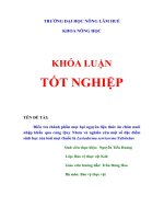 Điều tra thành phần mọt hại nguyên liệu thức ăn chăn nuôi nhập khẩu qua cảng Quy Nhơn và nghiên cứu một số đặc điểm sinh học của loài mọt thuốc lá   Lasioderma serricorme   Fabricius