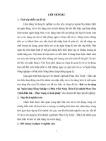 Rủi ro tín dụng tại Ngân hàng Nông Nghiệp và Phát triển Nông Thôn Chi nhánh Phan Chu Trinh-Đăk lăk – Thực trạng và Giải pháp