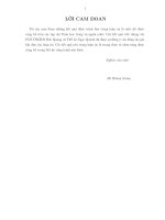 Tính hữu hạn và sự thác triển của ánh xạ phân hình vào không gian xạ ảnh phức