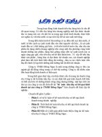 kế toán tiêu thụ và kết quả kinh doanh tại công ty tnhh hồng ngọc