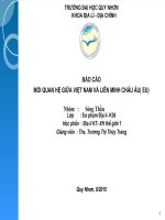 BÁO CÁO MỐI QUAN HỆ GIỮA VIỆT NAM VÀ LIÊN MINH CHÂU ÂU( EU)