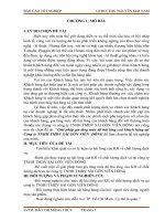 Giải pháp gia tăng mức độ hài lòng cuả khách hàng tại Công ty TNHH TMDV SÀI GÒN VIỄN  ĐÔNG