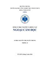 sinh lý động vật   Ngoại cảm học