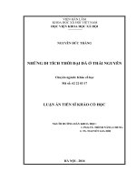 Những di tích thời đại đá ở Thái Nguyên