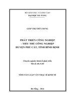 Phát triển công nghiệp   tiểu thủ công nghiệp huyện phù cát, tỉnh bình định