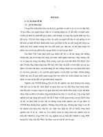 Tiểu luận sự biến đổi văn hóa gia đình ở vùng tái định cư huyện kỳ anh tỉnh hà tĩnh 