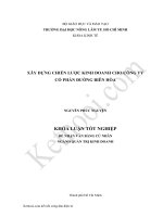 XÂY DỰNG CHIẾN lược KINH DOANH CHO CÔNG TY cổ PHẦN ĐƯỜNG BIÊN hòa 