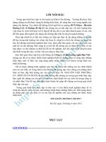 ĐÁNH GIÁ TỔNG QUAN VỀ PHẦN MỀM, KHẢ NĂNG ỨNG DỤNG PHẦN MỀM TRONG LĨNH VỰC THIẾT KẾ ĐƯỜNG