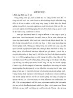 Kế toán nguyên vật liệu tại DNTN PHƯỚC TOÀN