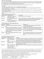 Đề thi học sinh giỏi sinh 8 chương 3