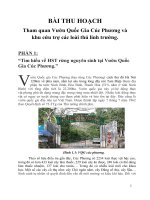 BÀI THU HOạCH tham quan vườn quốc gia cúc phương và khu cứu trợ các loài thú linh trưởng 
