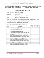 Một số biện pháp  hoàn thiện quy trình thủ tục hải quan điện tử nhập khẩu hàng chiếu tre của công ty TNHH XNK trường thuận 