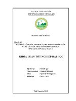 Đánh giá công tác giải phóng mặt bằng dự án hệ thống thoát nước và xử lý nước thải thành phố lạng sơn   tỉnh lạng sơn
