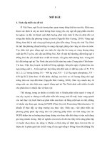 Phân lập và tuyển chọn vi khuẩn cố định đạm, hòa tan lân trong đất vùng rễ cây ngô (Zea mays L.) trồng trên đất xám tỉnh Tây Ninh