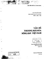 vấn đề thương mại hóa nông sản việt nam 