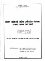 hoàn thiện hệ thống chỉ tiêu sử dụng trong thanh tra thuế 