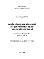Nghiên cứu chỉ định và đánh giá kết quả phẫu thuật nội soi điều trị tắc ruột sau mổ (TT)