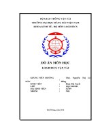 Tìm hiểu các hình thức thuê tàu, giải quyết bài toán tối ưu hóa thuê tàu 