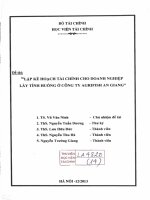 lập kế hoạch tài chính cho doanh nghiệp lấy tình huống ở công ty agrufish an giang 