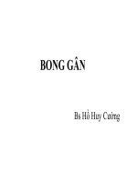 Bệnh học ngoại khoa: Bong gân