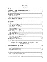 BÁO cáo TỔNG hợp THUYẾT MINH đề án QUY HOẠCH tài NGUYÊN nước THÀNH PHỐ hải PHÒNG đến năm 2020, tấm NHÌN đến năm 2030