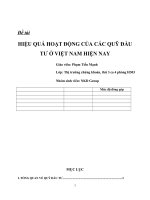 Hiệu quả hoạt động của các quỹ đầu tư ở việt nam hiện nay