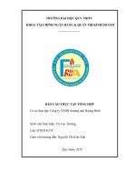 BÁO CÁO THỰC TẬP TỔNG HỢP Cơ sở thực tập Công ty TNHH thương mại Hoàng Bình