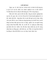 Nâng cao hiệu quả của việc sử dụng nguồn lực con người trong công ty than nam mẫu 