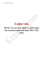 VAY nợ nước NGOÀI và GÁNH NẶNG CHO TƯƠNG LAI PHÂN TÍCH THỰC TIỄN ở VIỆT NAM 