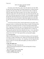 Đánh giá tình hình hoạt động đội tàu hàng khô của công ty cố phần VTB hoàng anh từ 2013 2015 