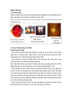 Bệnh học ngoại khoa: Bệnh glocom - Tăng nhãn áp