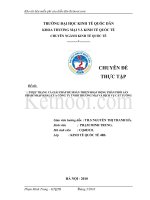 HOẠT ĐỘNG PHÂN PHỐI sản PHẨM NHẬP KHẨU của CÔNG TY TNHH THƯƠNG mại và DỊCH vụ cát TƯỜNG