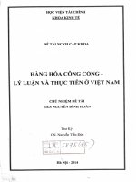 hàng hóa công cộng lý luận và thực tiễn ở việt nam 