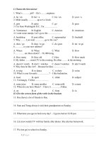 Đề luyện tập cho học sinh lớp 5 đề số 1