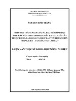 Điều Tra Thành Phần Loài Và Đặc Điểm Sinh Học Mọt Nuôi Nấm (Mọt Ambrosia) Gây Hại Các Loài Cây Thuộc Họ Dẻ (Fagaceae) Tại Khu Bảo Tồn Thiên Nhiên Hoàng Liên - Văn Bàn, Tỉnh Lào Cai