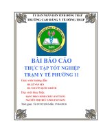 mẫu báo cáo thực tập tham khảo