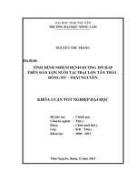 Tình Hình Nhiễm Bệnh Đường Hô Hấp Trên Đàn Lợn Nuôi Tại Trại Lợn Tân Thái - Đồng Hỷ - Thái Nguyên