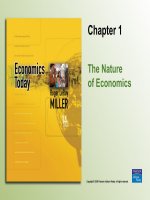The nature of economics