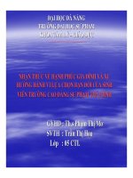 nhận thức về hạnh phúc gia đình và xu hướng hành vi lựa chọn bạn đời của sinh viên trường cao đẳng sư phạm thái bình (slide) 