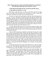 THỰC TRẠNG QUẢN LÝ NHÀ NƯỚC ĐỐI VỚI DOANH NGHIỆP NHÀ NƯỚC SAU KHI SẮP XẾP, ĐỔI MỚI TRÊN ĐỊA BÀN TỈNH BẮC GIANG