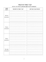 NHẬT ký THỰC tập IN