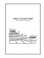 Giáo trình Nông lâm kết hợp