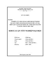 Nghiên Cứu Một Số Đặc Điểm Dịch Tễ Bệnh Do Giun Tròn Oesophagostomum Spp. Gây Ra Trên Lợn Tại Huyện Đồng Hỷ, Tỉnh Thái Nguyên Và Dùng Thuốc Điều Trị